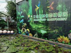 -正佳雨林生态植物园
