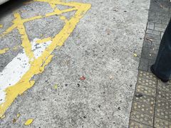 -上海市同济医院-停车场