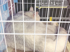 -董小姐咖妃·咖啡·简餐.意面(松江大学城店)