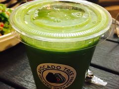 -油梨树 AVOCADO TREE(亮马桥店)