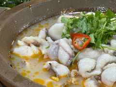-大鼎石锅鱼(春江里店)