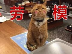-汴京炸鸡王(蔡锷北路店)