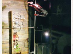 -探鱼·鲜青椒爽麻烤鱼(中天广场店)