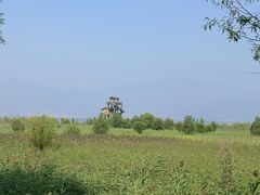 -野鸭湖国家湿地公园