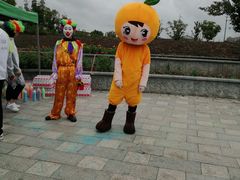-菊园百果园