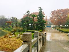景点-解放公园