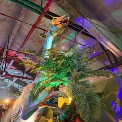 -恐龙探索乐园(磁器口店)