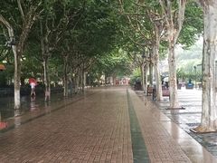 -西湖外事游船(湖滨二公园外事游船码头)