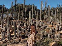 -深圳仙湖植物园-停车场