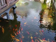 -豫园湖心亭茶楼