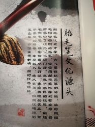 -龙文宝贝上门婴儿理发满月剃胎毛(总店)