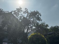 -阳台山自然风景区