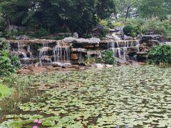 -东莞植物园