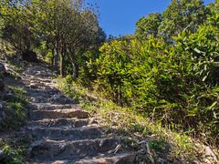 -梧桐山风景名胜区