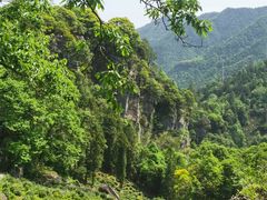 -石台牯牛降景区