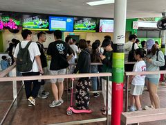 -圣淘沙天际线斜坡滑车
