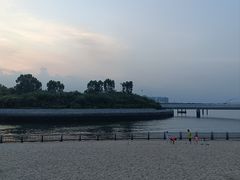 -五缘湾湿地公园