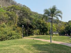-金鸡山公园