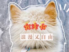 -上海来福士广场