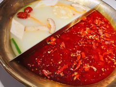 -九鼎轩脆毛肚火锅(三钢里店)