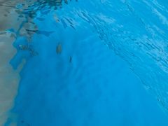 -杭州浪浪浪水公园