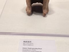 -隋唐大运河文化博物馆