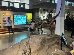 -自贡恐龙博物馆