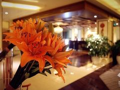 -天津津利华酒店