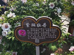 -洛阳市隋唐城遗址植物园