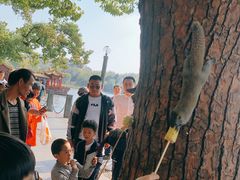 -西湖外事游船(湖滨二公园外事游船码头)