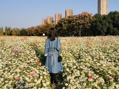 -映月湖中央公园