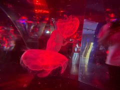 -抱抱地球咖啡馆(国家海洋博物馆店)