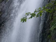 -天堂寨大别山人家2号(天堂寨店)