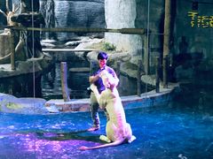 -清迈夜间动物园