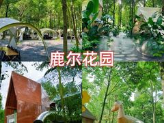 -老鼎万春卤菜(五代传承创始老店)