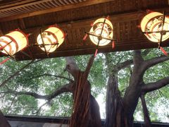 -文儒九号·闽菜馆(三坊七巷店)