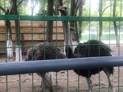 -长白岛森林公园