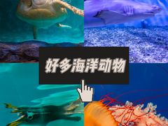 -正佳极地海洋世界