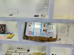 -上海失恋博物馆