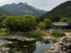 -泰山风景名胜区-普照寺