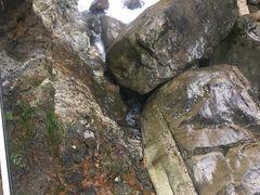 -鹿院坪生态旅游景区