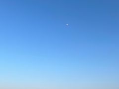 -老太太海鲜城(森林公园任家台店)