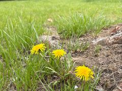 -尚贤河湿地