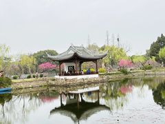 -无锡蠡湖国家湿地公园-蠡园