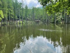 -波尔登森林公园