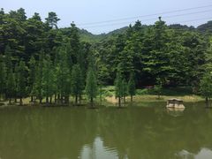 -广州市帽峰山景区
