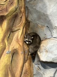 -Zoolung Zoolung动物主题公园(海信广场店)