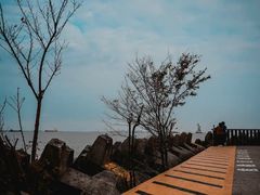 -上海滨江森林公园