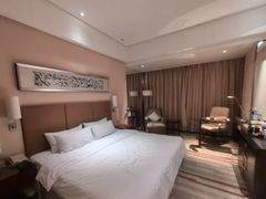 -电谷雅阁国际大酒店