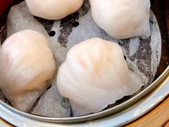 虾饺-凤城酒家(渣华道)